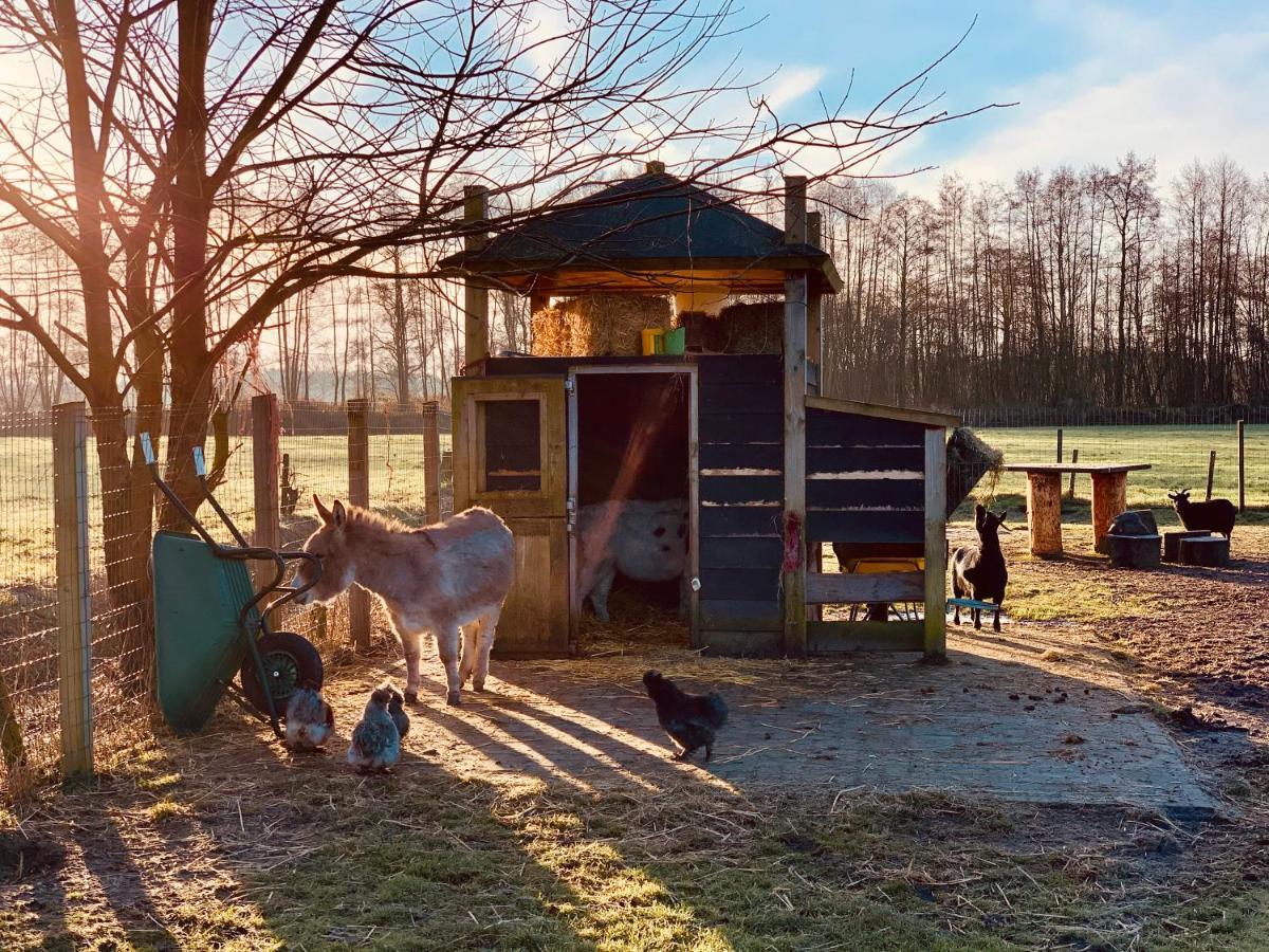 Camping Vossenberg - Op De Veluwe! Epe Exterior foto